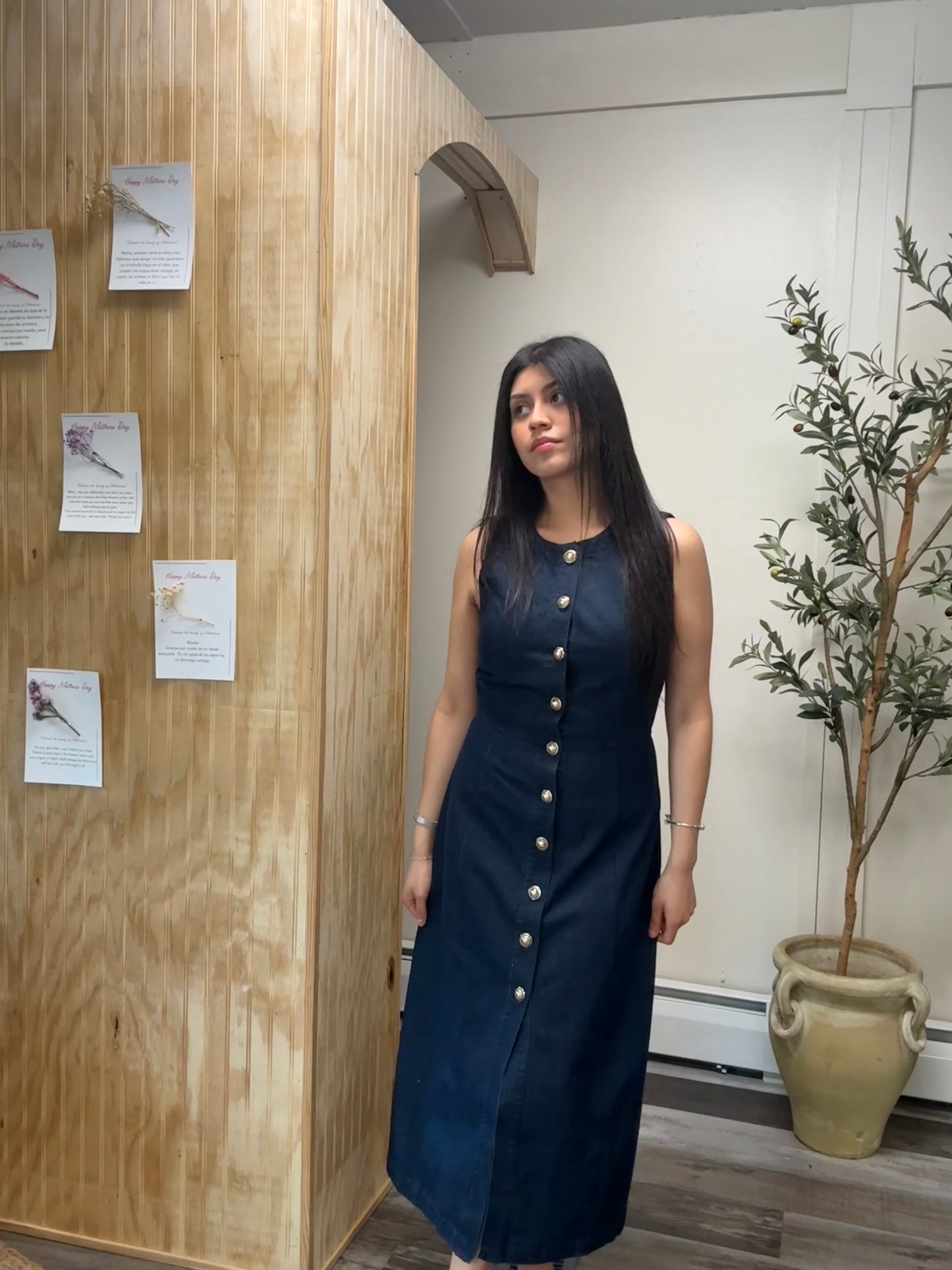 Button Denim Dress