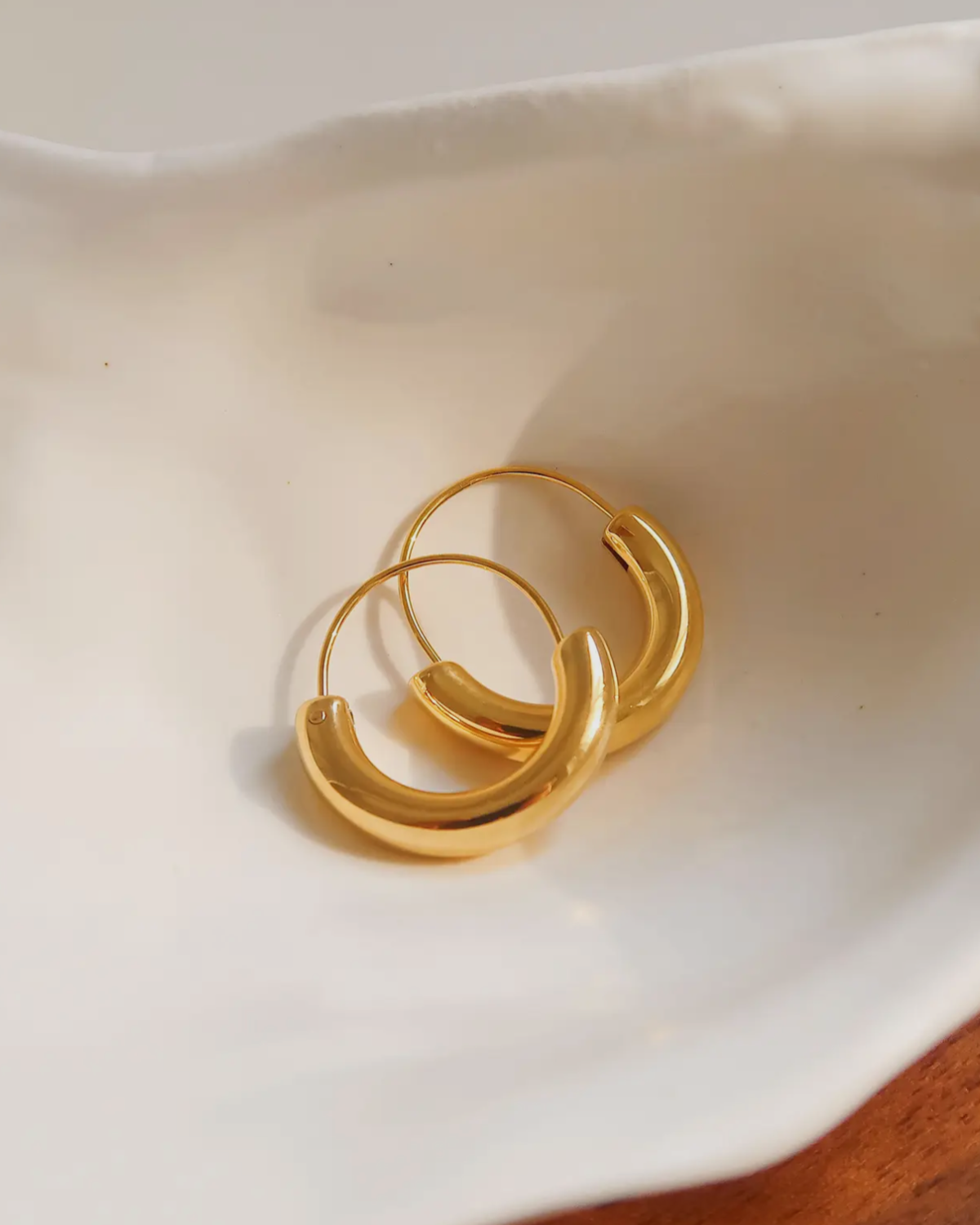 Desi Hoop Earrings