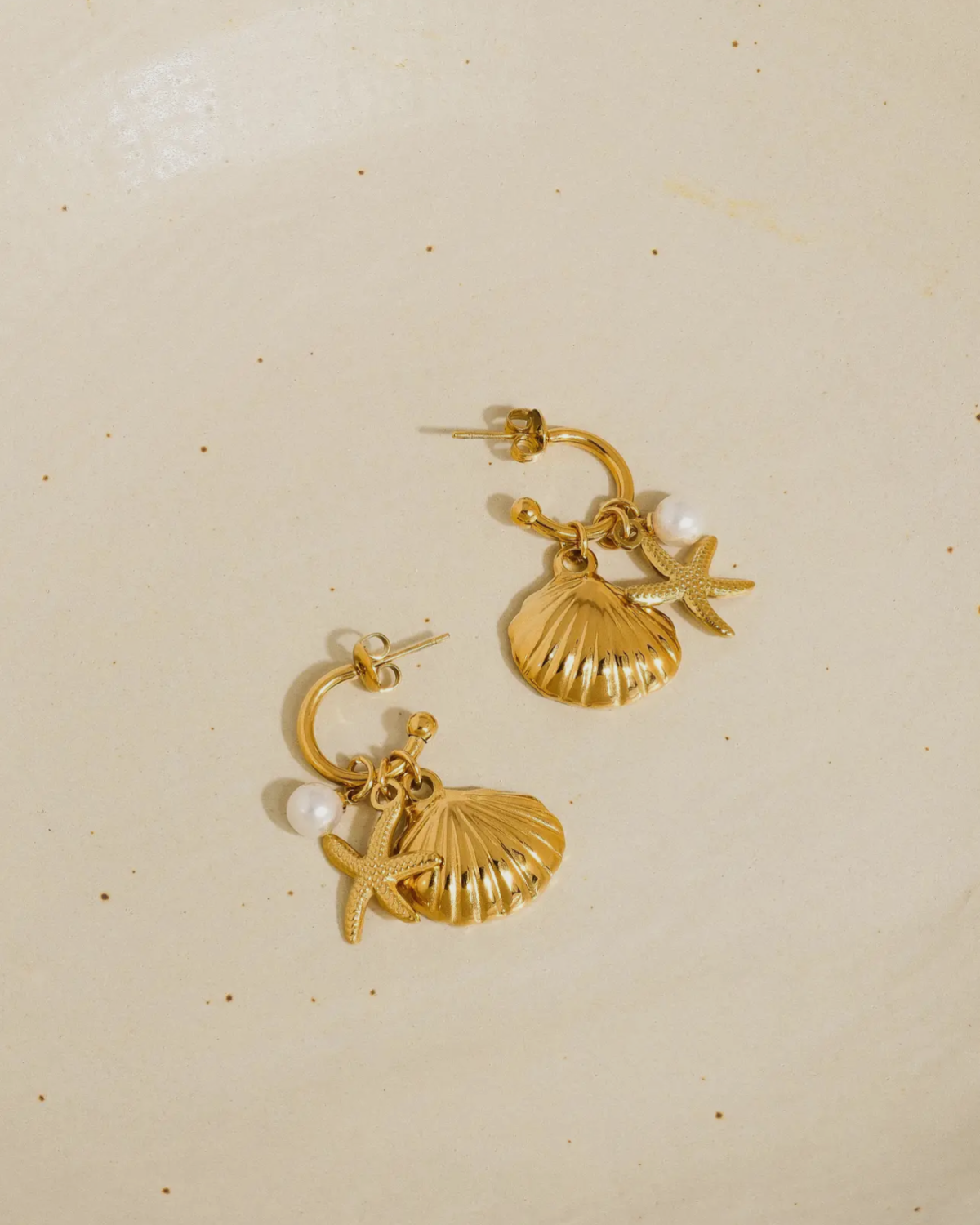 Sea shell earrings 